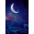 Vinyl háttér fotózáshoz.Holdat, éjszakát ábrázoló fotó háttér 150cm(sz) x 210(m) A10136894