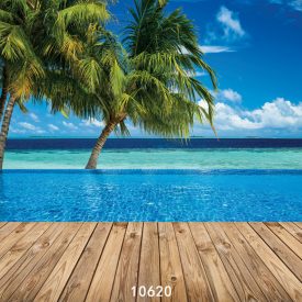   Vinyl háttér fotózáshoz.Pálmafás, tengerpartot ábrázoló fotó háttér 150cm(m) x 210(sz) A10620