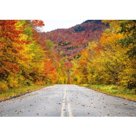   Vinyl háttér fotózáshoz. Őszi fotó háttér 150cm(m) x 210cm(sz) A11627