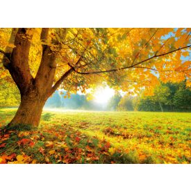   Vinyl háttér fotózáshoz. Őszi fotó háttér 150cm(m) x 210cm(sz) A11629