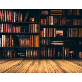   Vinyl háttér fotózáshoz.Könyvespolcot ábrázoló fotó háttér 150cm(m) x 210cm(sz) Ac-1520