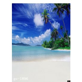   Vinyl háttér fotózáshoz.Tengerpartot ábrázoló fotó háttér 150cm(sz) x 210(m) Agc-1896