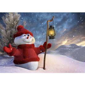   Vinyl háttér fotózáshoz. Karácsonyi fotó háttér  180cm(m) x 270cm(sz) B11689