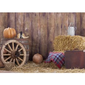   Vinyl háttér fotózáshoz.Őszi stúdió háttér fotó háttér 180cm(m) x 270(sz) BC-1261