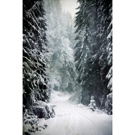   Vinyl háttér fotózáshoz. Téli fotó háttér 180cm(sz) x 270cm(m) BXJ-0015