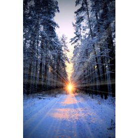   Vinyl háttér fotózáshoz. Téli fotó háttér 180cm(sz) x 270cm(m) BXJ-0017