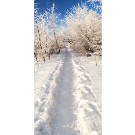   Vinyl háttér fotózáshoz. Téli fotó háttér 180cm(sz) x 270cm(m) BXJ-0032