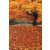 Vinyl háttér fotózáshoz.Őszi fotó háttér 180cm(sz) x 270cm(m) Bc-1183