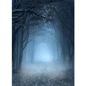   Vinyl háttér fotózáshoz.Ködös érdőt ábrázoló fotó háttér 180cm(sz) x 270(m) Bc-1192