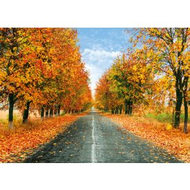   Vinyl háttér fotózáshoz. Őszi fotó háttér 200cm(sz) x 300cm(m) C11628