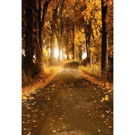   Vinyl háttér fotózáshoz. Őszi fotó háttér 200cm(sz) x 300cm(m) Cgc-3225