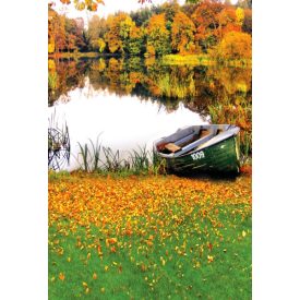   Vinyl háttér fotózáshoz. Őszi fotó háttér 200cm(sz) x 300cm(m) Cgc3230