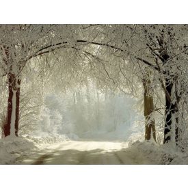   Vinyl háttér fotózáshoz.Havas utat ábrázoló fotó háttér 200cm(m) x 300(sz) Cxj-0027