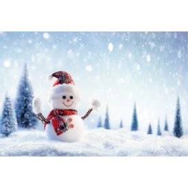   Vinyl háttér fotózáshoz. Hóemberes fotó háttér 200cm(m) x 300cm(sz) Cxj-0045